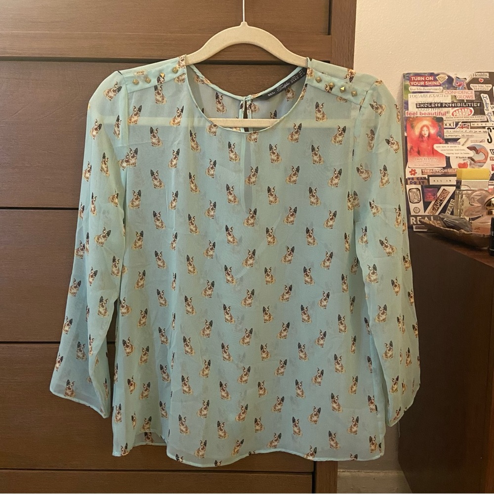 Zara Trafaluc Mint Sheer Bulldog Blouse